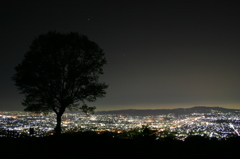 若草山の夜景