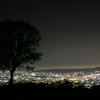 若草山の夜景