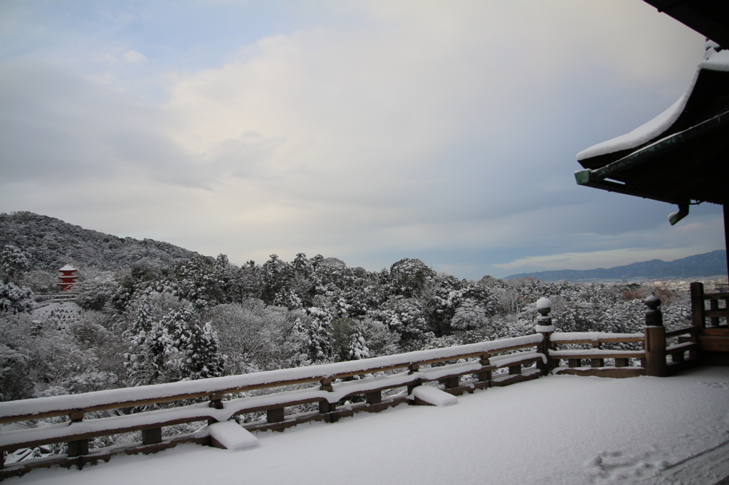 雪舞台