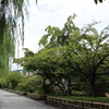 いつもの白川