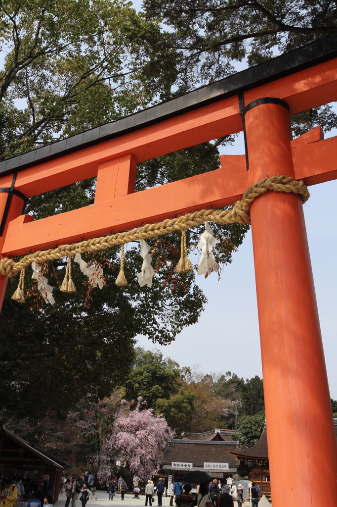 鳥居越しに