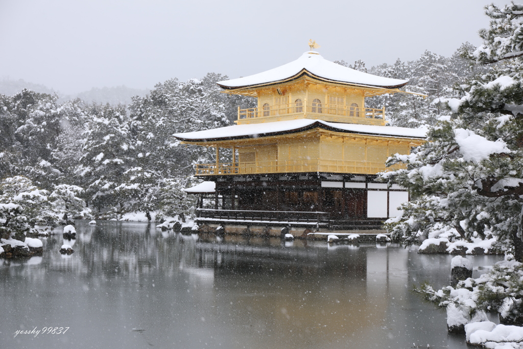 雪金閣２０１７！