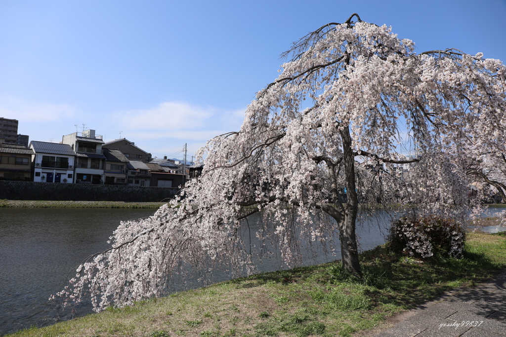 広がり