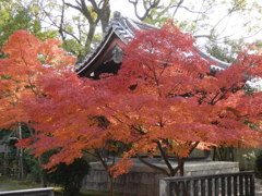 廬山寺