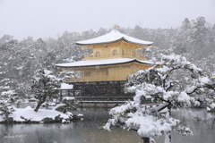 今日も雪予報らしい・・・