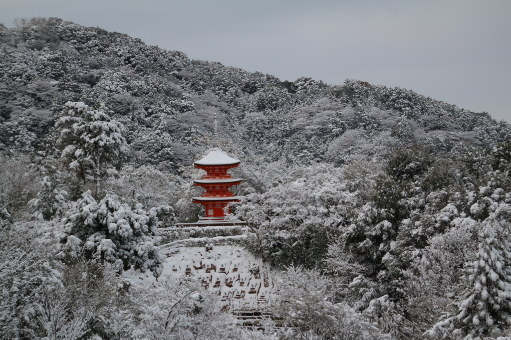 紅一点