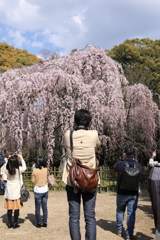 PHOTOHITOたちの休日・春