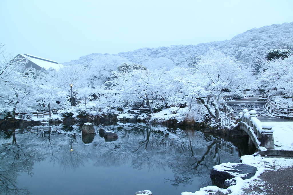 円山公園冬景色