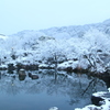 円山公園冬景色