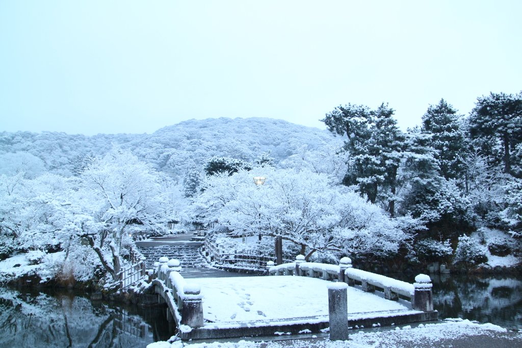 雪の公園