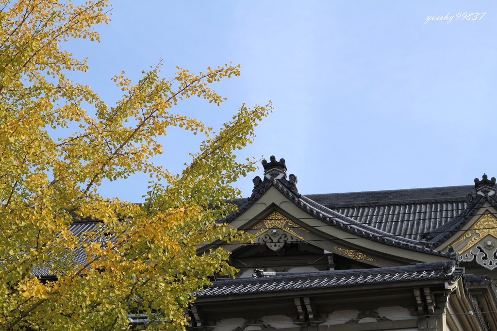 銀杏、南座、そして・・・・