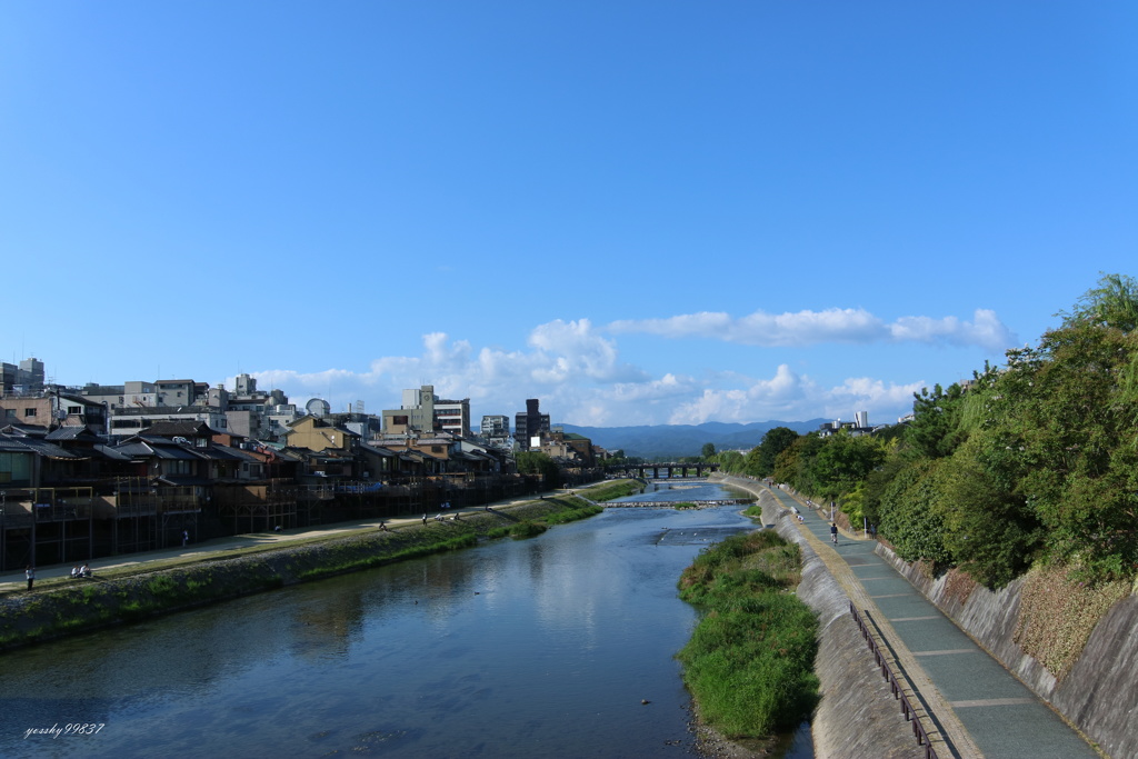 青空こいしい・・・