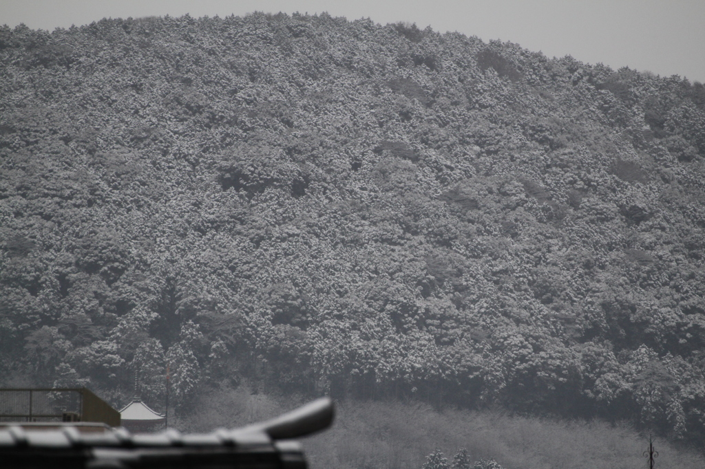 京の山