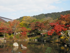 京都もそろそろ