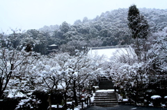 永観堂雪景（2月１日）