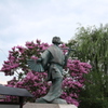 花を咲かせる