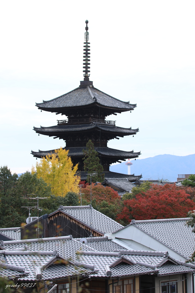 紅葉の塔