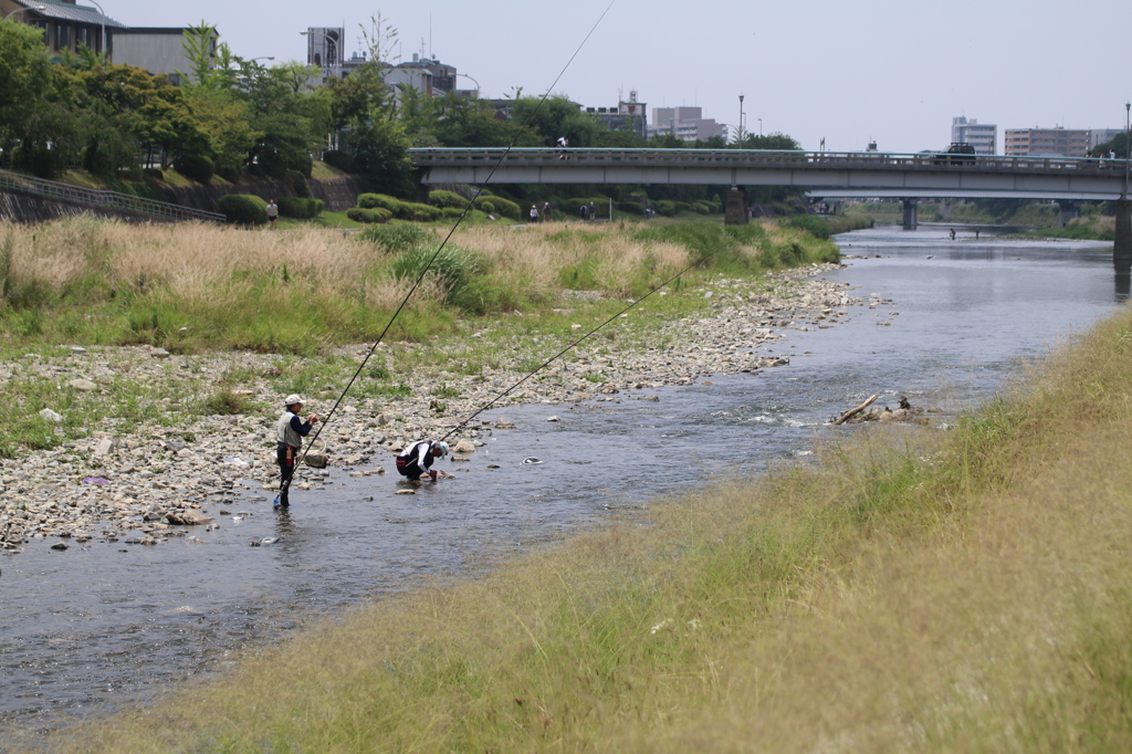 鮎釣り風景