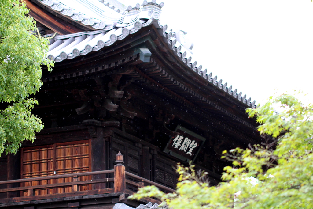 雨の建仁寺で反省。。