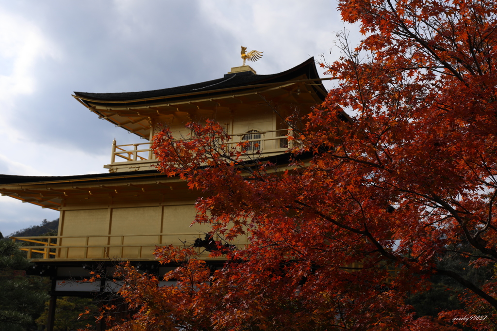 横金閣
