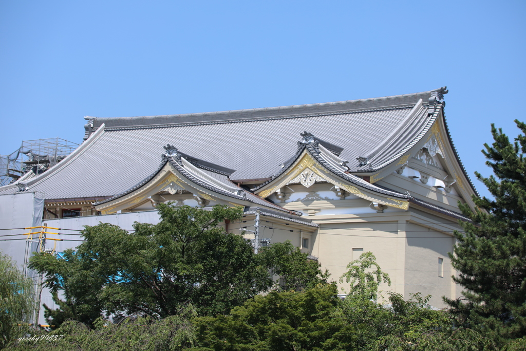 少しお披露目