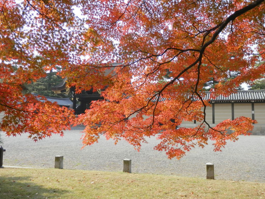 京都御苑