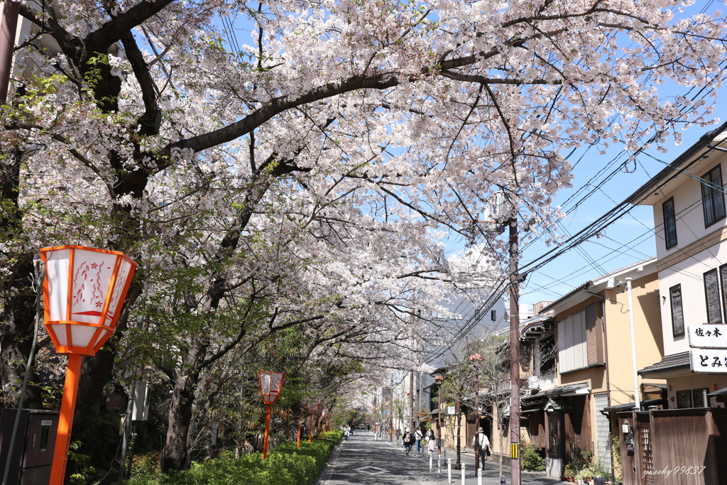 まだ楽しめる