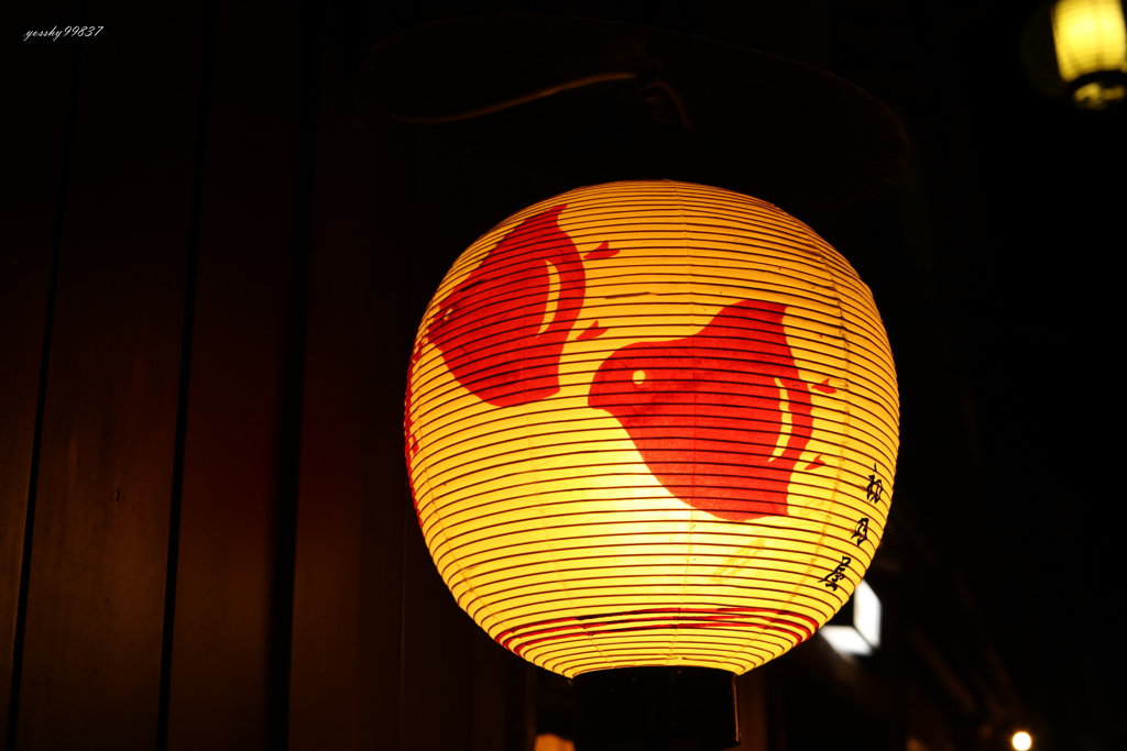 夜千鳥