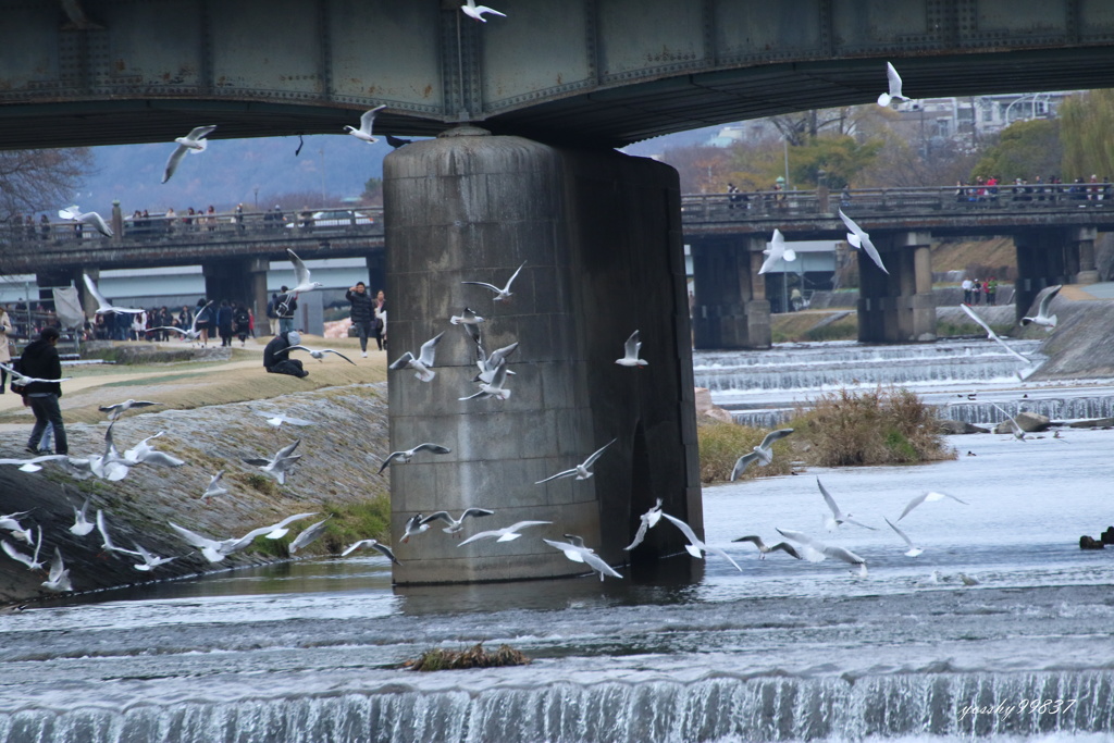 これもいつもの光景