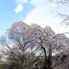 晴れ間が見える隙に・・・