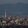 京の朝