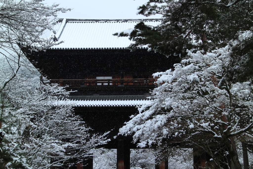 南禅寺雪景