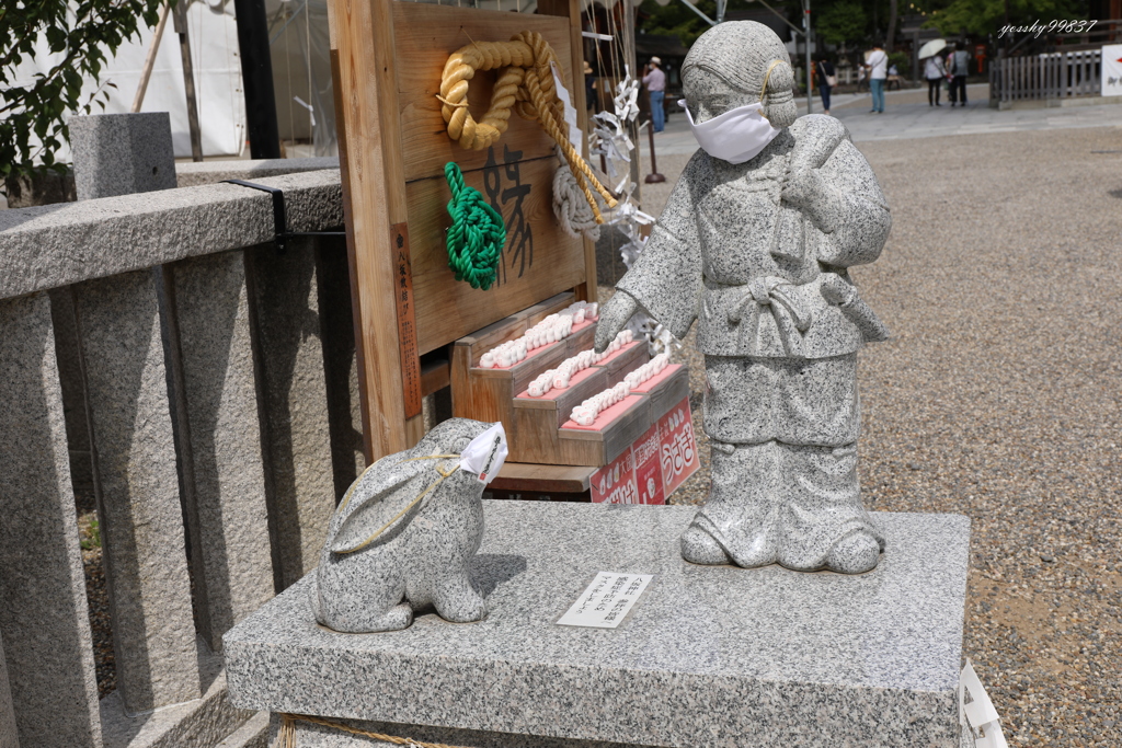 神様も、うさぎも