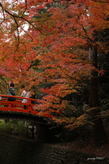 北野の紅