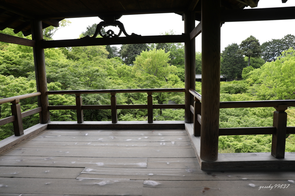 いつもの場所