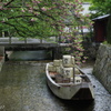 八重桜舟