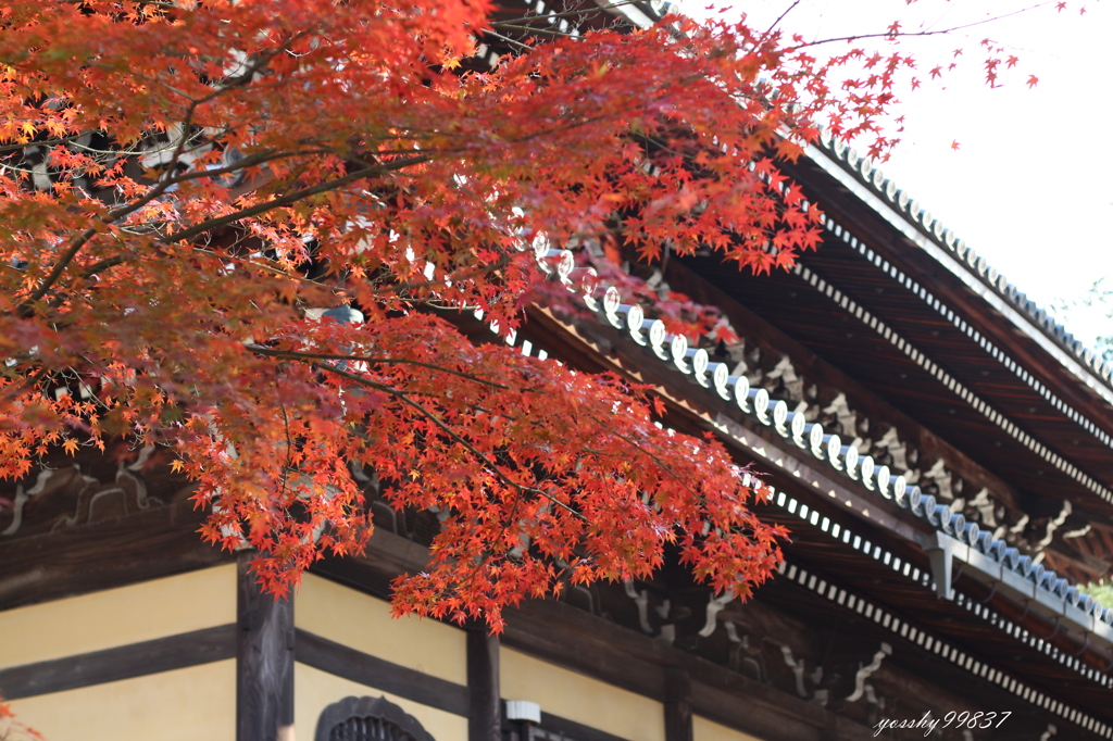 南禅寺