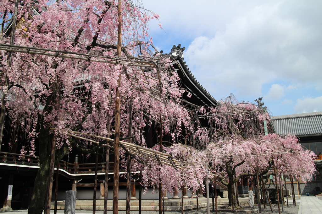 仏光寺