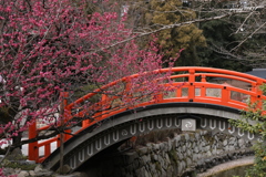 彩り