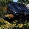 いつ頃かな？
