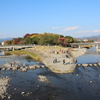 鴨川デルタ