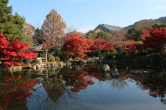 円山公園（京都）