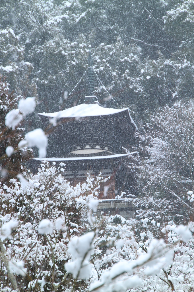 永観堂雪景（2月１日）