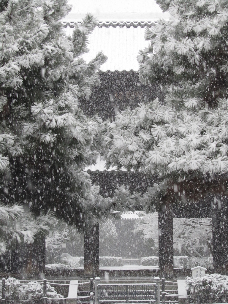 雪の建仁寺