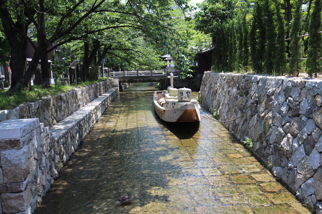 葉桜高瀬川船だまり