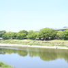緑な鴨川