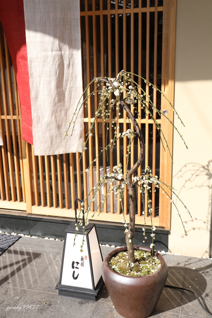 さり気なく店先に