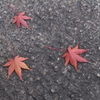 燃え尽き中