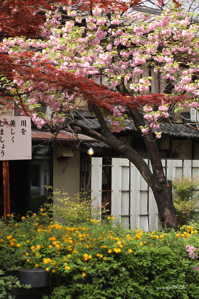 一揃え