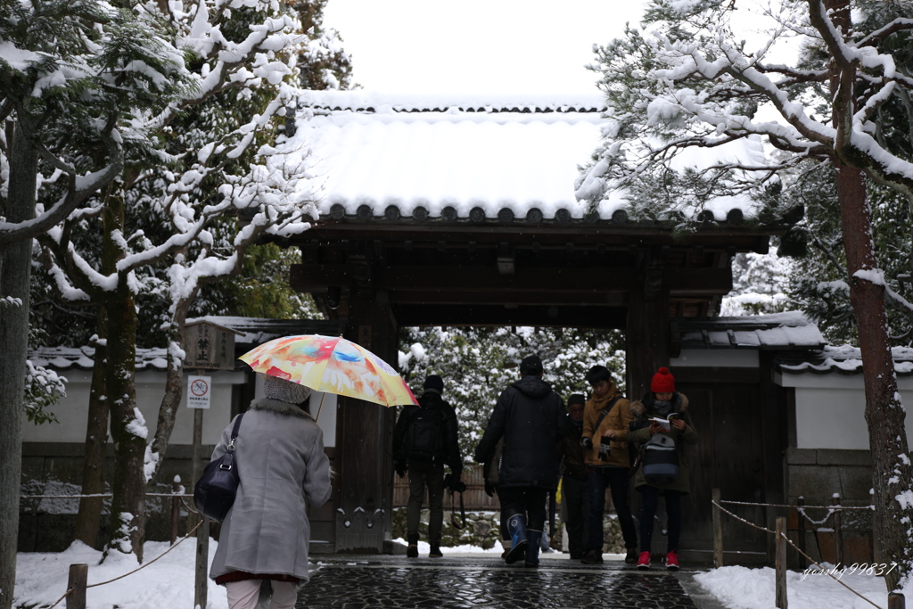 銀閣寺は空いていた